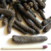Ancient pepper can spice up barbecue