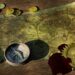 Buried Treasure poetry