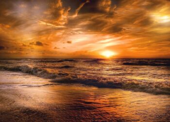 Feel the Peacefulness