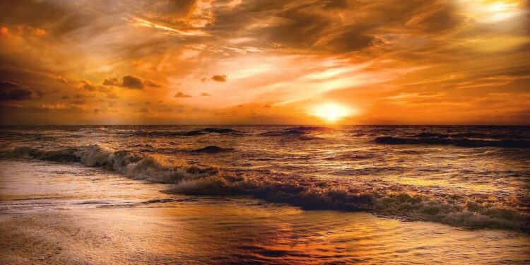Feel the Peacefulness