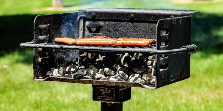 How Americans really feel about barbecuing