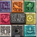 Shifting Stones by Gamewright