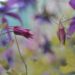 4 Ways to make your garden easier to maintain