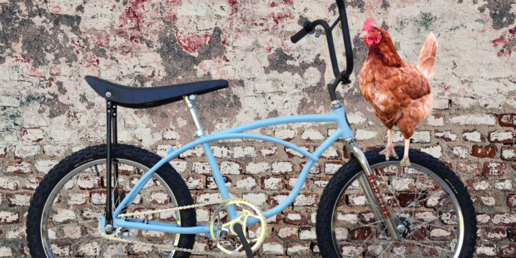 bike with bmx and banana seat and brick wall and chicken