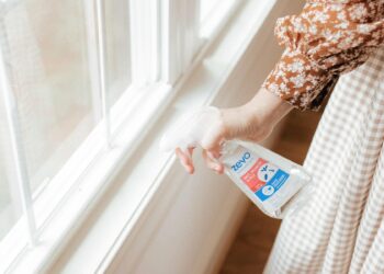 Here’s how to to remove bugs from your home