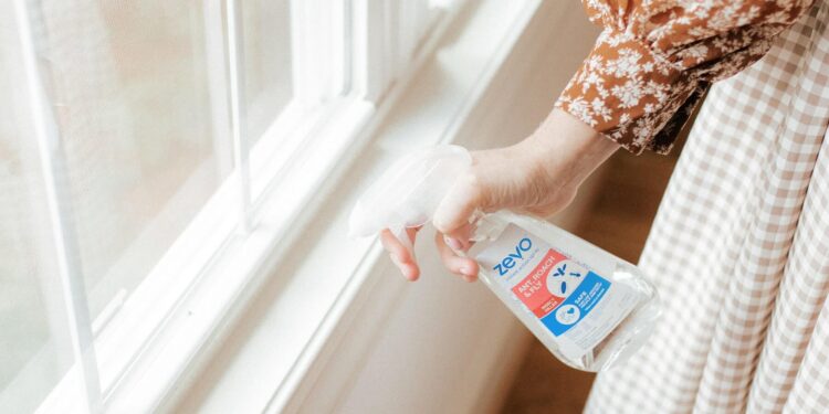 Here’s how to to remove bugs from your home