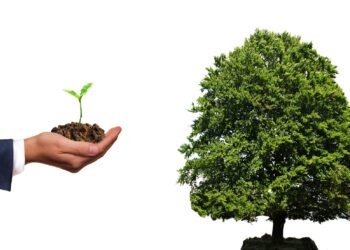 Hug a tree and plant one