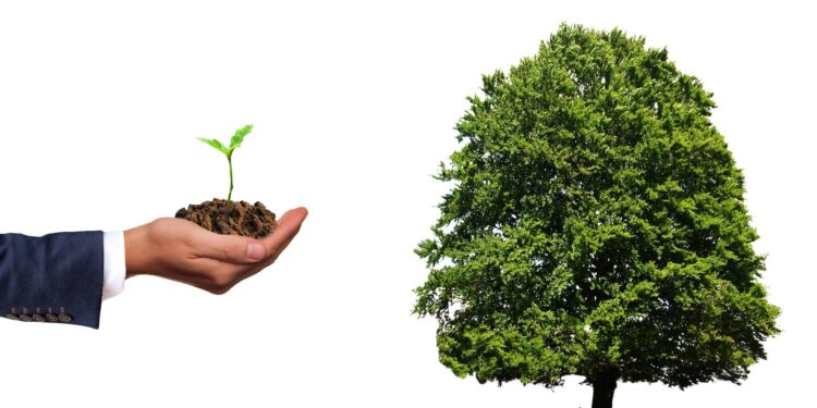 Hug a tree and plant one