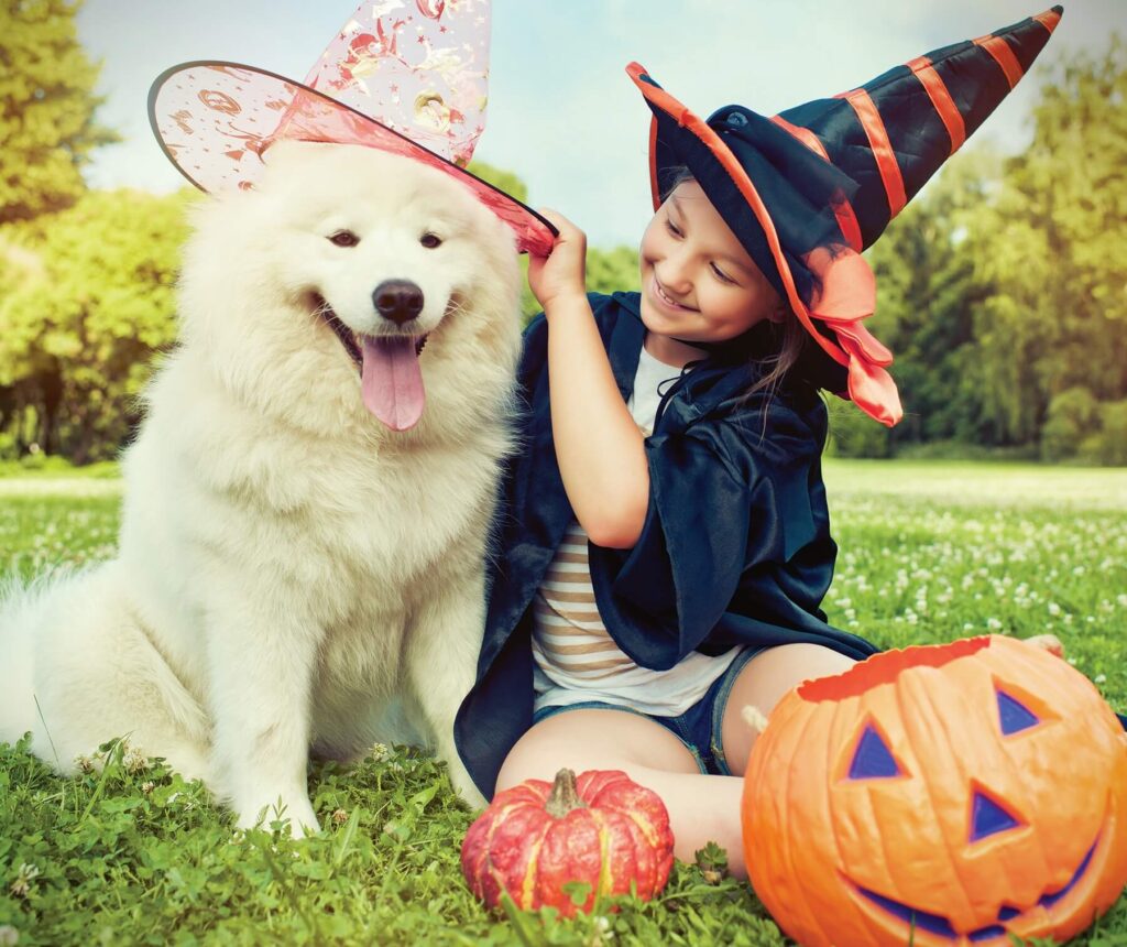 5 Tips to Safely Celebrate Halloween with Your Pets