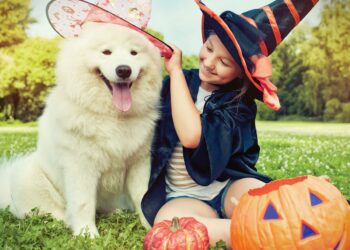 5 Tips to Safely Celebrate Halloween with Your Pets