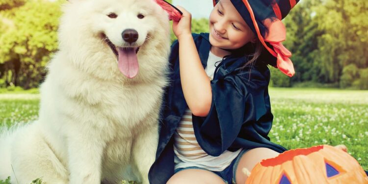 5 Tips to Safely Celebrate Halloween with Your Pets