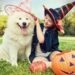 5 Tips to Safely Celebrate Halloween with Your Pets