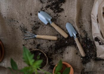 How to become a more confident gardener