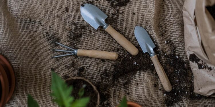 How to become a more confident gardener
