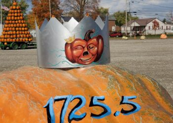 How to grow your own giant pumpkin