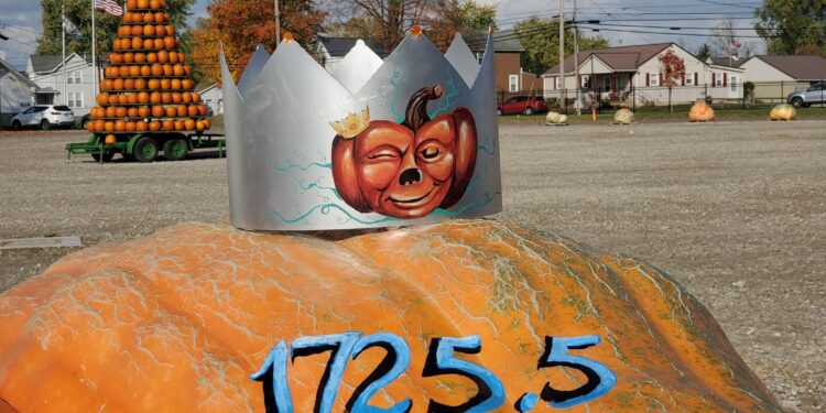 How to grow your own giant pumpkin