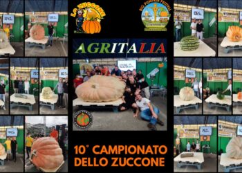 New world record giant pumpkin for 2021