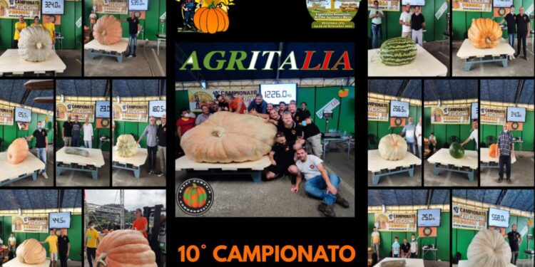 New world record giant pumpkin for 2021