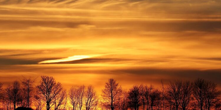 Pumpkin Pie Sky