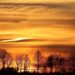 Pumpkin Pie Sky