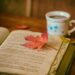 Read a Book