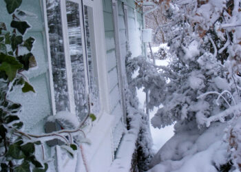 Winterize now for a cozy December