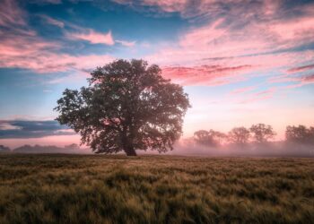 Changing Masterpiece