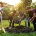 How and Why to Volunteer as a Family