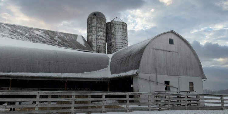 Preparing yourself for winter