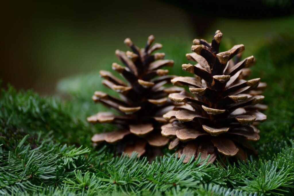 Inexpensive nature made Christmas crafts for children
