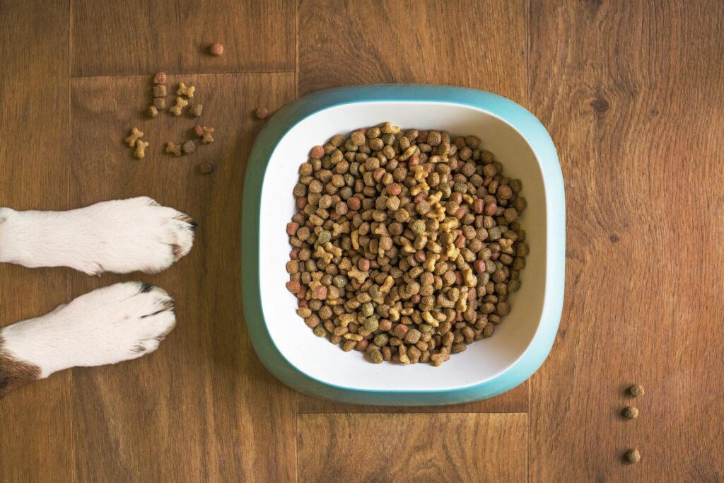 Locating pet's favorite food may be more difficult