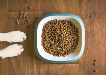 Locating pet's favorite food may be more difficult