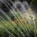 Making your garden easier to handle this spring