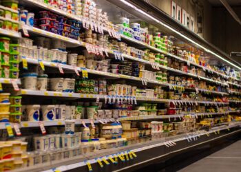 The Rising Costs of Food - Senior News Line