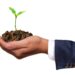 Ways to make your business greener