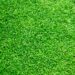 How to have a yard that you love