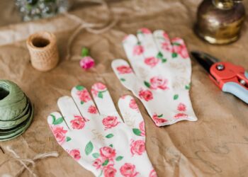 Indoor garden systems offer growing options