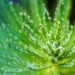 Nature’s Touch - Poetry