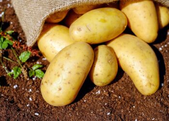Scrumptious Spuds