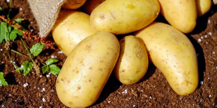 Scrumptious Spuds