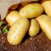 Scrumptious Spuds