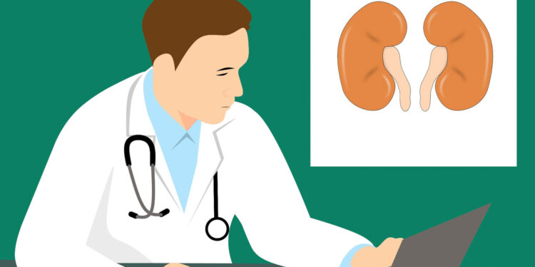 The future of organ transplants?