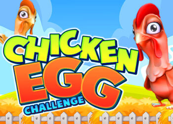 Chicken Egg Challenge