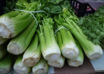 Now Here's a Tip - Do this with celery stalks