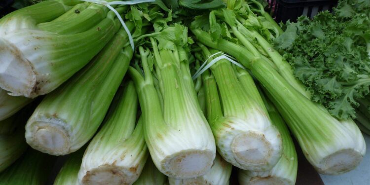 Now Here's a Tip - Do this with celery stalks