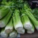 Now Here's a Tip - Do this with celery stalks