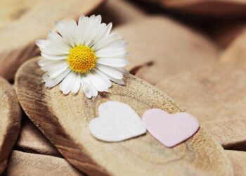 Sacred Love - Poetic Pauses