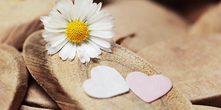 Sacred Love - Poetic Pauses