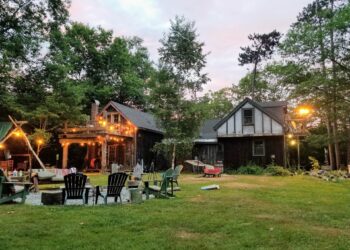 3 Useful tips to improve your garden