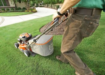 How to make your lawn look like a million dollars